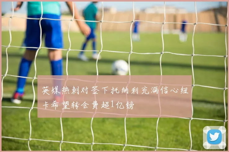 英媒热刺对签下托纳利充满信心纽卡希望转会费超1亿镑