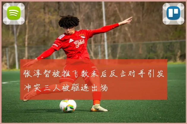 张淳智被推飞数米后反击对手引发冲突三人被驱逐出场